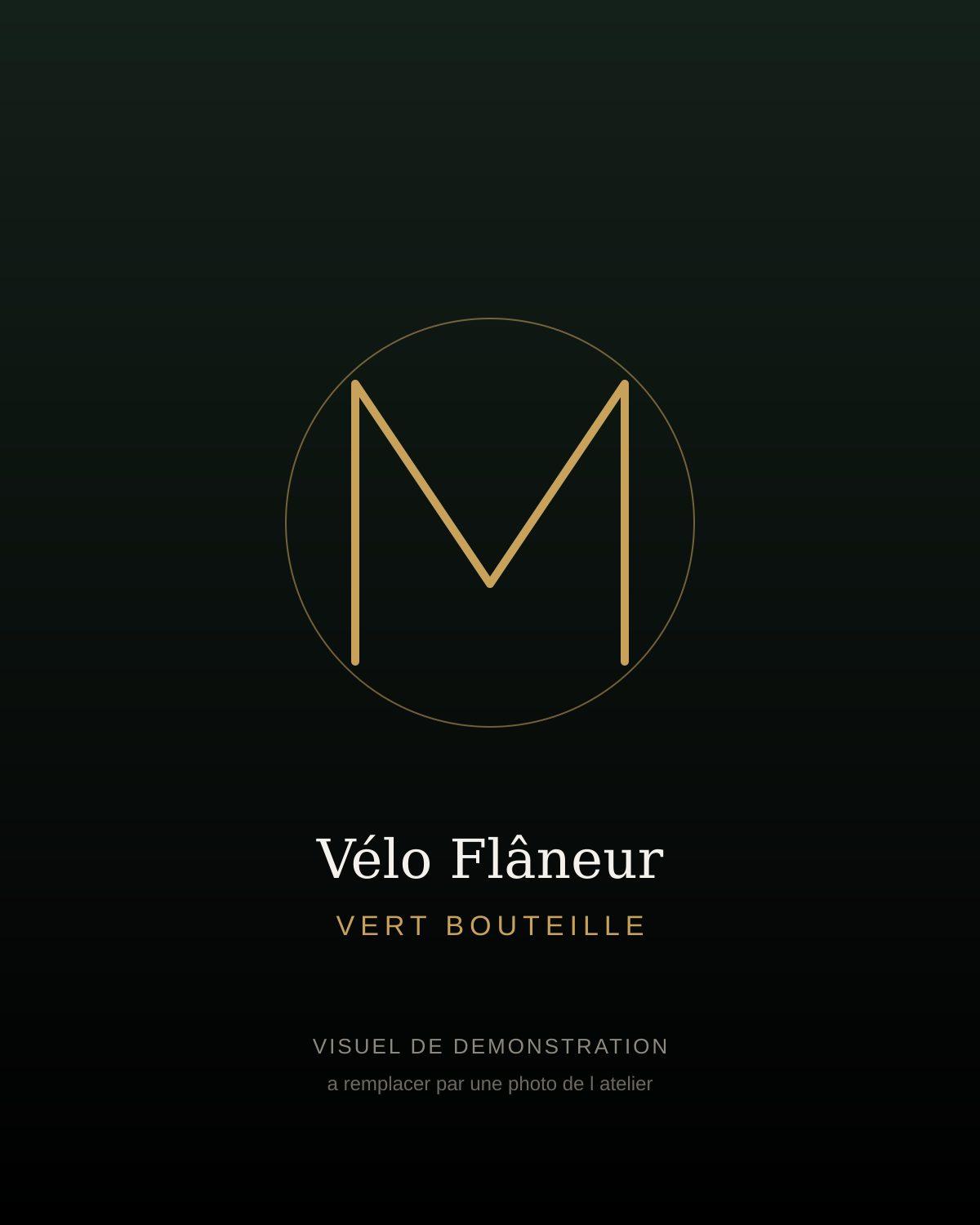 Vélo complet Flâneur